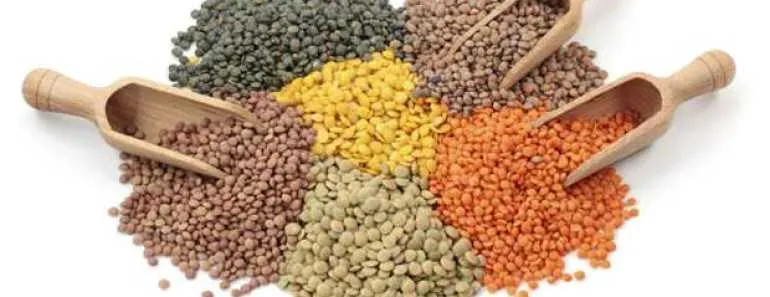 pulses health benefits