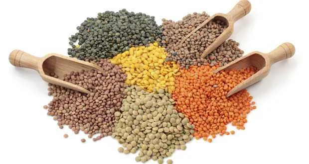Your mom was right. Pulses have the Health Benefits