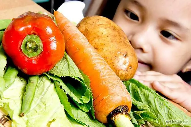 Vegetarian Diet and Children 2 Balanced Vegetarian Diet