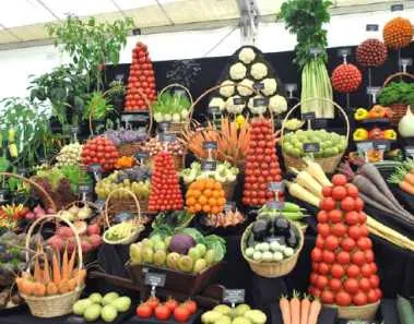 Healthy Eating Principles for a Vegetarian Diet 1 Health Benefits of Vegeaerian Diet