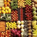 Health benefits of Vegetarian Diet