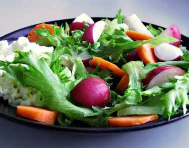 12 Frequently Asked Questions about the Vegetarian Diet 1 Healthy Vegetarian Diet