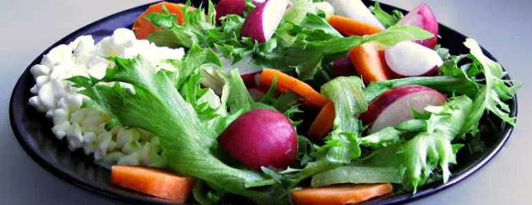 Healthy Vegetarian Diet