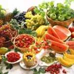 Meat Free Diet