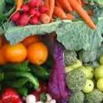 Vegan Diet