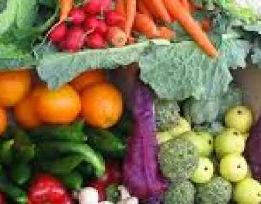 Vegan Diet