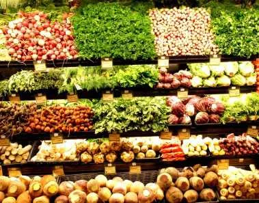 Vegetarian Diet and Children 1 Vegetarian Diet