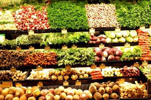 Vegetarian Diet and Children