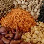 Vegetarian Protein Sources