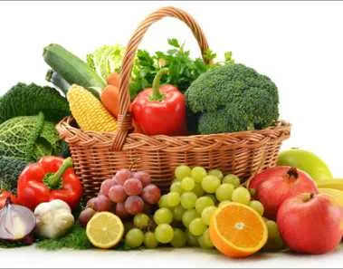 Vegetarian diet