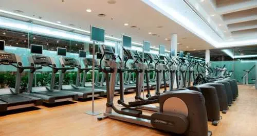 Top 10 Step Machines Reviews