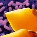 listeria vegetable