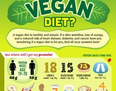 vegan diet information