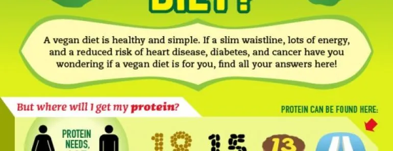 vegan diet information