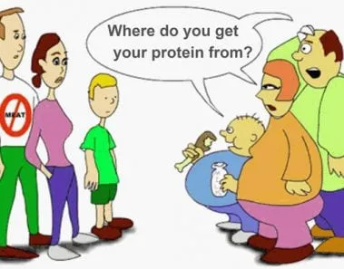 Vegetarian Diet Options: Protein Vitamins and Minerals 1 vegetarian diet