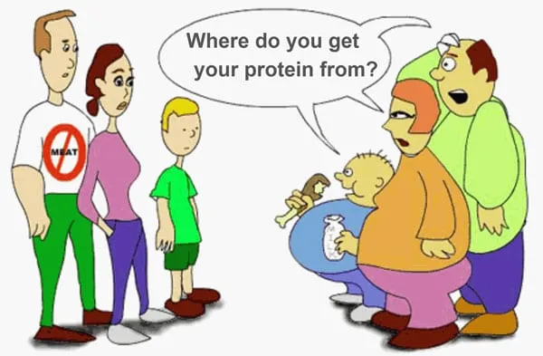 Vegetarian Diet Options: Protein Vitamins and Minerals