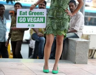 Vegetarian Diet: How to Get the Nutrients You Need 1 vegetarian diet