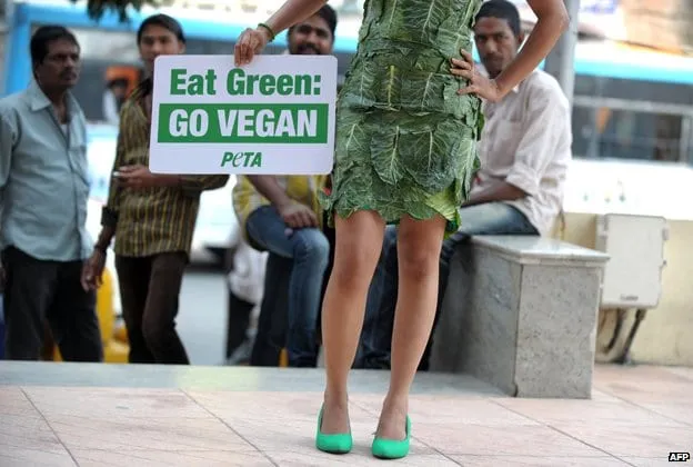 Vegetarian Diet: How to Get the Nutrients You Need