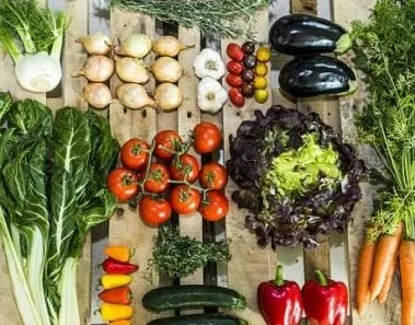 vegetarian diet meal plan