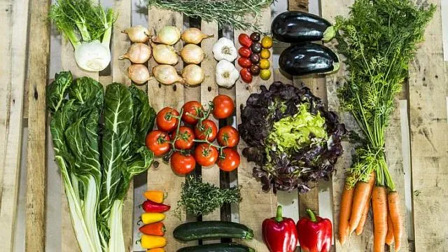 Is A Vegetarian Diet Really Better For The Environment?