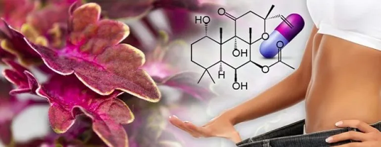 weight loss capsules review