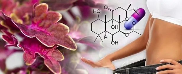 10 Ways to Boost Your Metabolism 4 weight loss capsules review