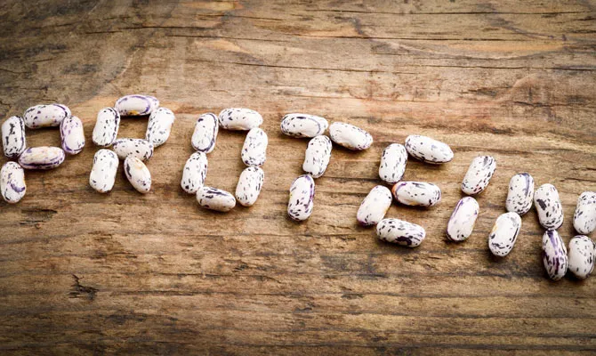 A Protein Rich Diet helps you Manage Weight