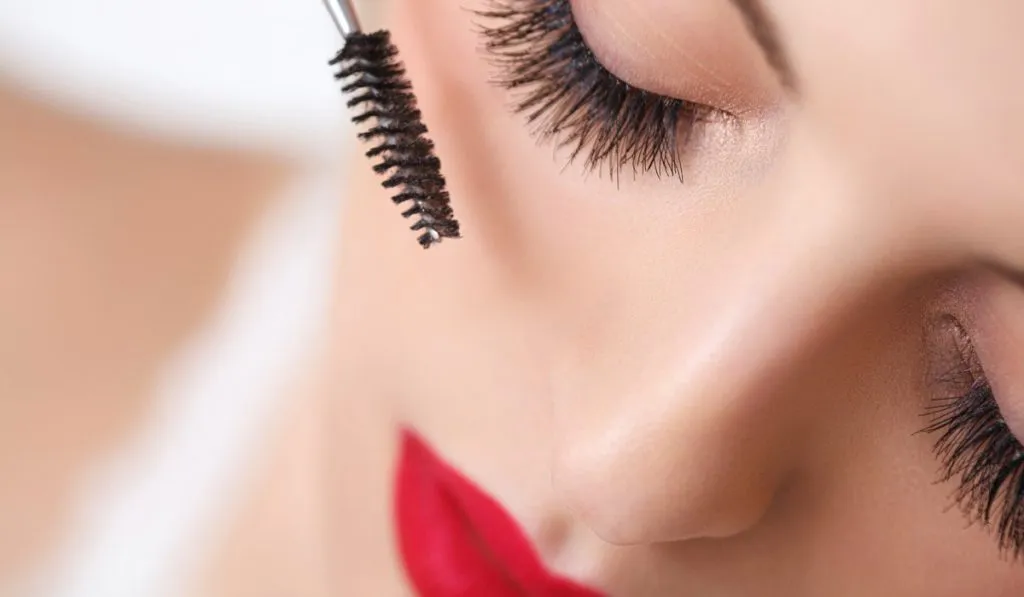 5 Best Mascara Brands in India – 2018