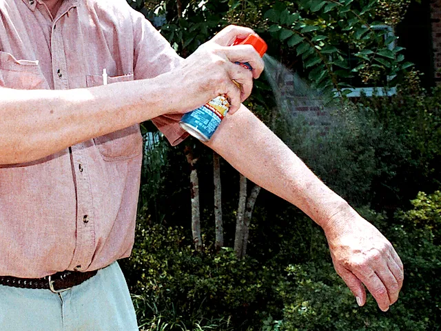 Top 5 Insect Repellents 2019