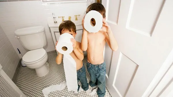 Top 5 Toilet Paper Brands of 2018