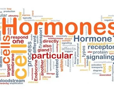 How Hormone Replacement Therapy (HRT) Can Help You Lose Weight? 1 Hormones replacement therapy