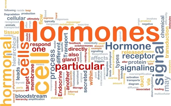How Hormone Replacement Therapy (HRT) Can Help You Lose Weight?