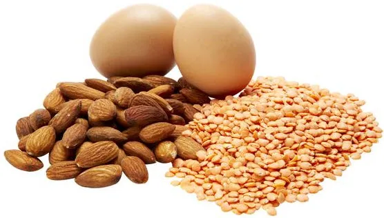 Best Weight Loss Programs - Science Have an Answer of this Question 2 protein rich diet