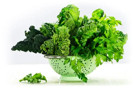 leafy vegetables leafy vegetables