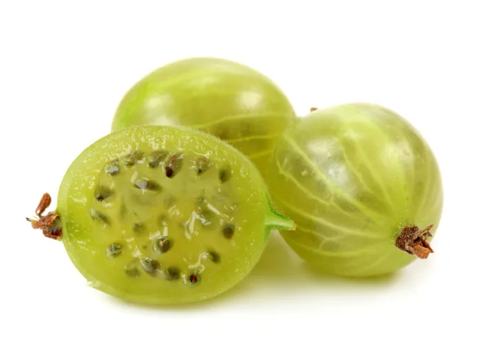 gooseberry gooseberry