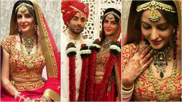 List of Indian Celebrities Who Got Married in 2017 - 2019 25 Mandana Gaurav wedding 2017