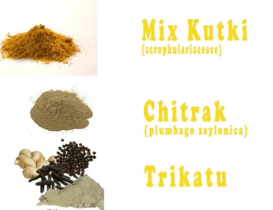 10 Ayurvedic Supplements For Weight Loss 7 Concoction ayurvedic supplements for weight loss