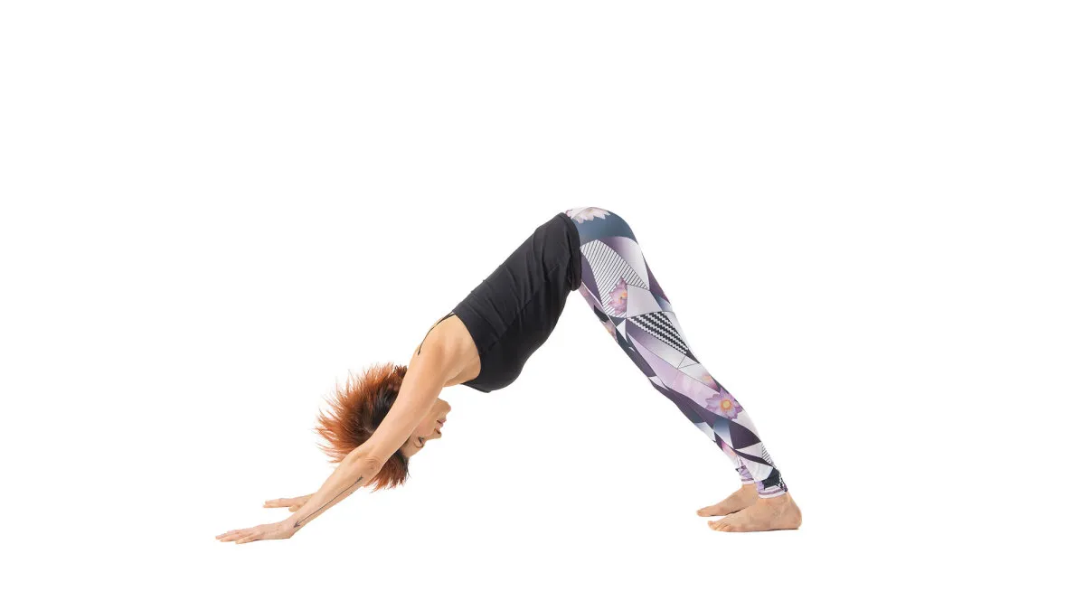Downward Dog Position 3 Inches In 1 Week