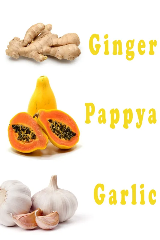 10 Ayurvedic Supplements For Weight Loss 4 Digestive helper ayurvedic supplements for weight loss