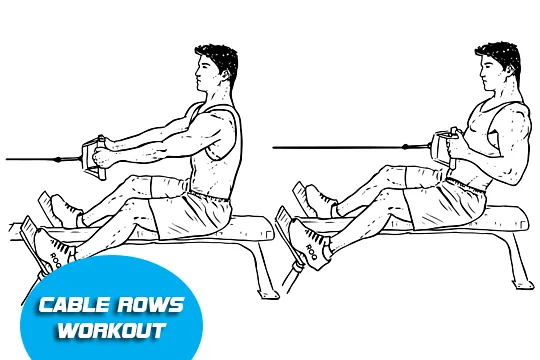 Full Body Workout for Beginners – How to Start? 7 cable row full body workout