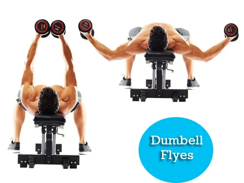 Full Body Workout for Beginners – How to Start? 6 dumbbell flyes full body workout