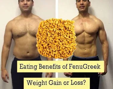 The Amazing Benefits of Methi Seeds (Fenugreek) for Weight Loss 1 fenugreek seeds benefits weight loss