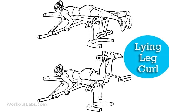Full Body Workout for Beginners – How to Start? 8 lying leg curls full body workout