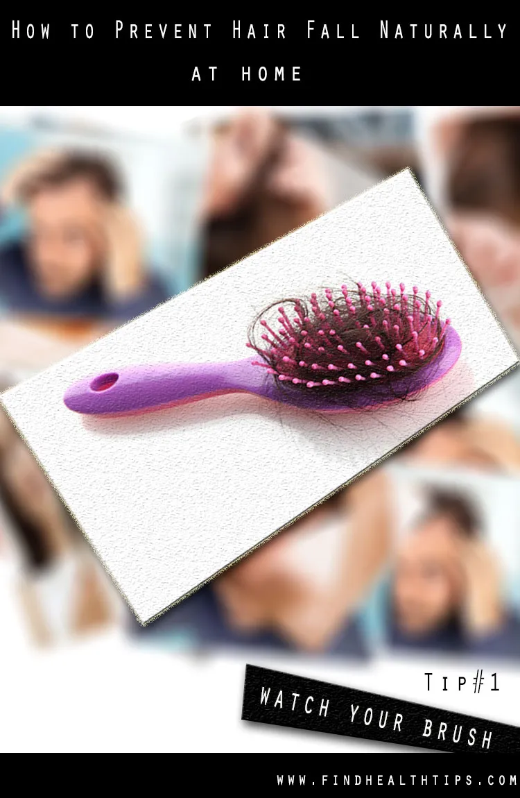 How to Prevent Hair Fall Naturally at Home 2 Prevent Hair Fall Naturally Tips