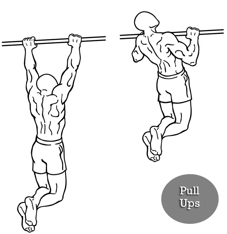 Full Body Workout for Beginners – How to Start? 5 pull ups full body workout