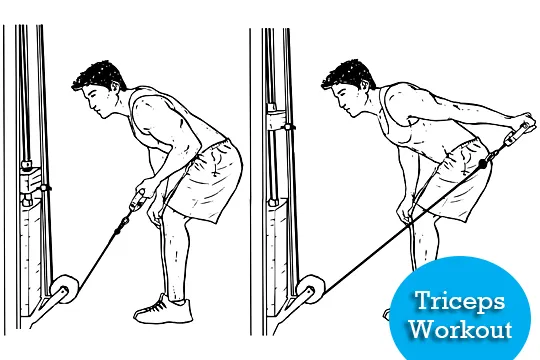Full Body Workout for Beginners – How to Start? 9 triceps kickback full body workout