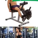 leg press muscle