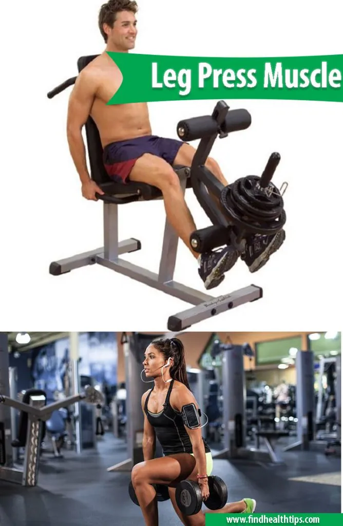 How to Increase Muscle Mass with the Leg Press