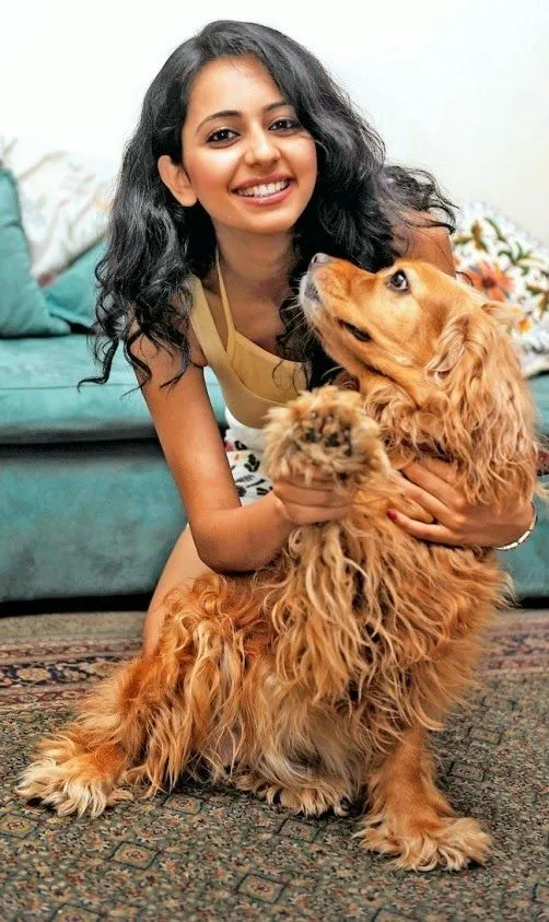 10 Photos - Rakul Preet Singh Without Makeup - A Defining Beauty? 8 Rakul Preet Singh No Makeup Photos