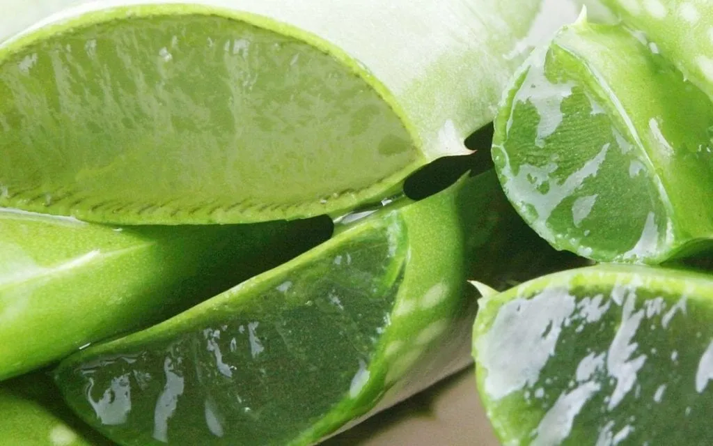 Easy Home Remedies to Prevent Hairfall and Dandruff 6 Aloe vera
